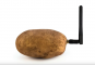 tre différentes innovations futuristes, on peut trouver la toute première patate connectée au monde... Et elle est française. 🥔