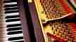 ue l'instrument était une pièce unique au monde et qu'elle travaillait dessus depuis 17 ans. 🎹