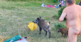 aux yeux de toutes et tous près de l'espace naturiste du lac de Teufelssee, situé en bordure de Berlin, ce mercredi 5 août.