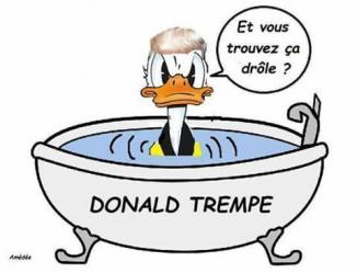 Donald Trempe 🦆🇺🇲👱