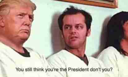 Vol au dessus d'un nid de coucou Trumpiste !