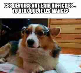 Comment réussir ses devoirs !