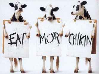 Eat mor chikin 🐄🪧