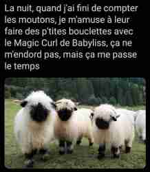 ça vous défrise ?!! 