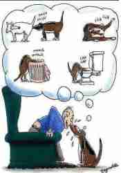 Nos amis les bêtes ! 💩🐕