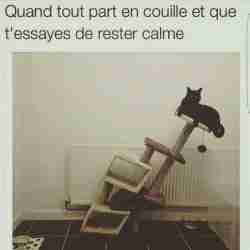 Jusqu'ici tout va bien ! 