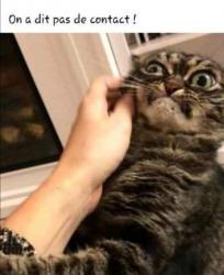 ON A DIT PAS DE CONTACT !