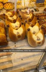 Team pain au chocolat ou team chocolatine 