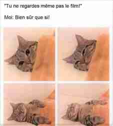 Ce n'est ABSOLUMENT PAS ce que tu crois 🤪😵😴