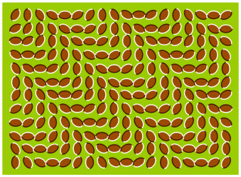 Bougez votre tête, l'image va onduler.