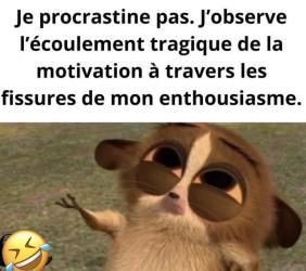 Je ne procrastine pas&nbsp;!!! 🤣