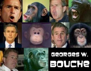 Georges W Bouche 🐵