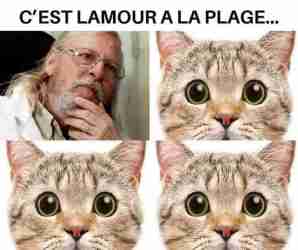 😹🎶🎶🎶👨🏼‍⚕️