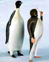 t de l'Allemagne, un fétichiste déguisé en pinguoin était enchaîné chez lui à un tel point qu'il a dû faire appel à la police pour lui retirer ses menottes et ses chaînes !